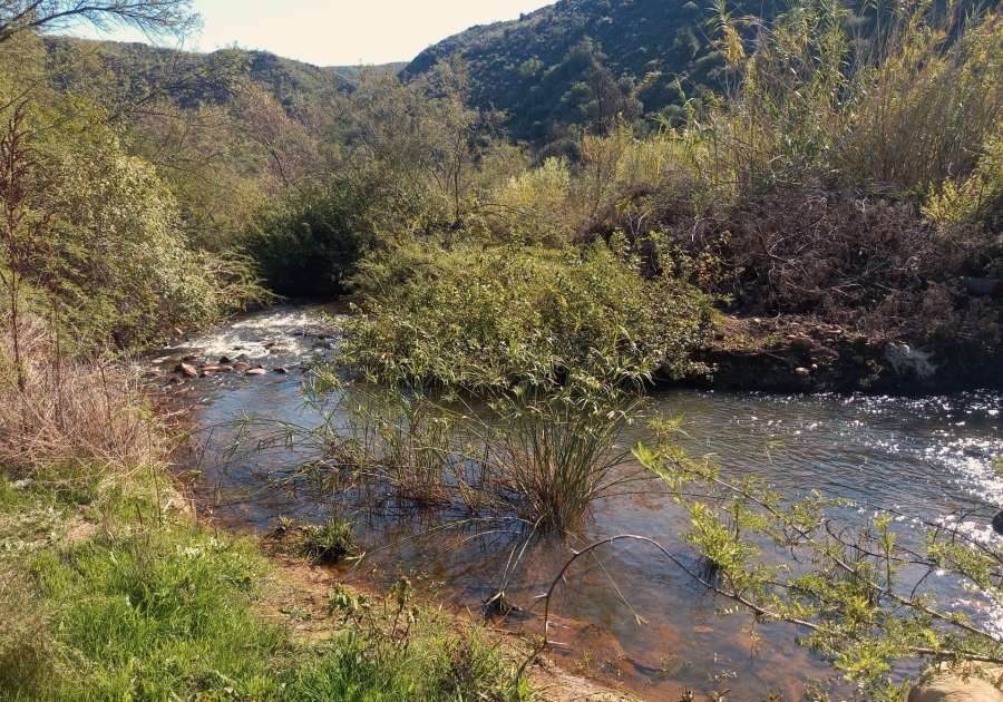 Commercial Property for Sale in George Rural Western Cape